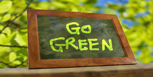 go green, sustainability tips